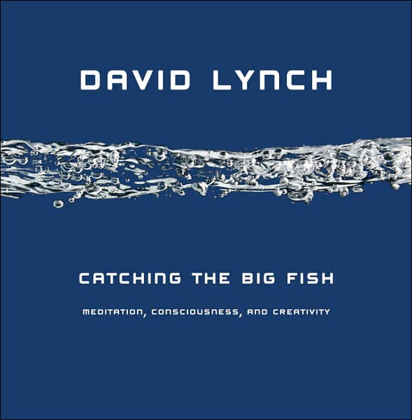 catching-the-big-fish by david lynch